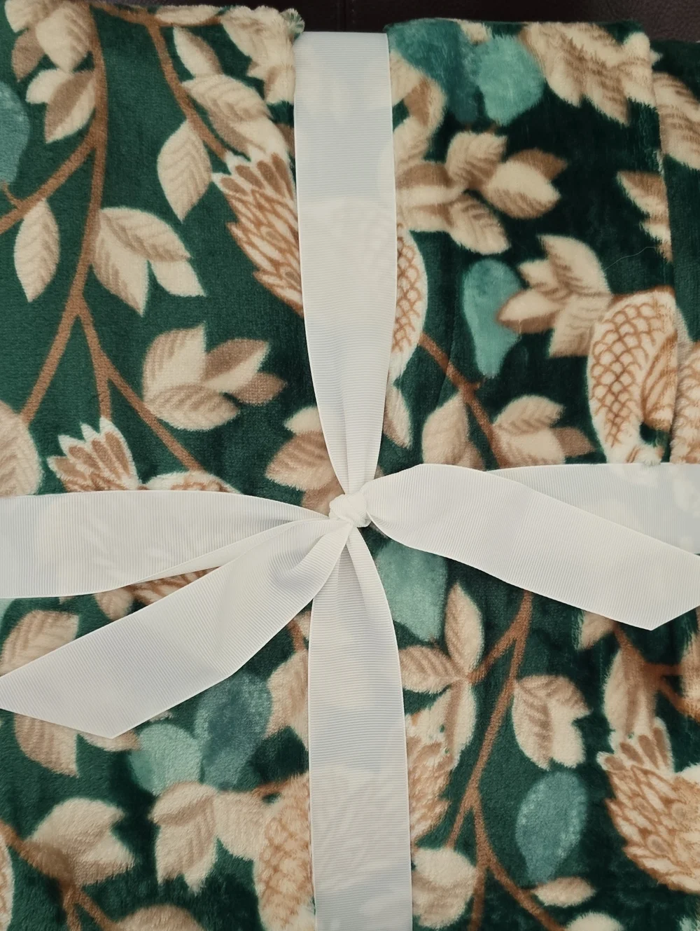 NORTH POLE GREEN AND WHITE VELVET PLUSH THROW
